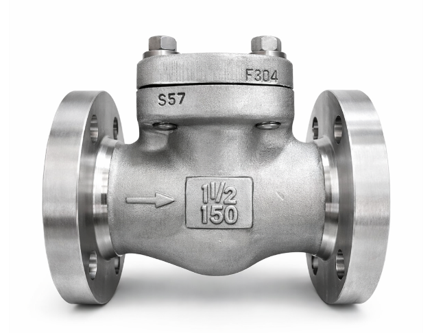 Check Valve - Forged 1