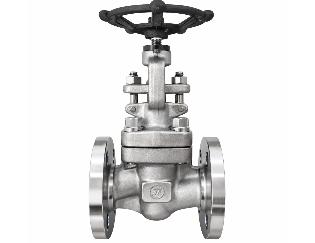 Globe Valve - Forged 1