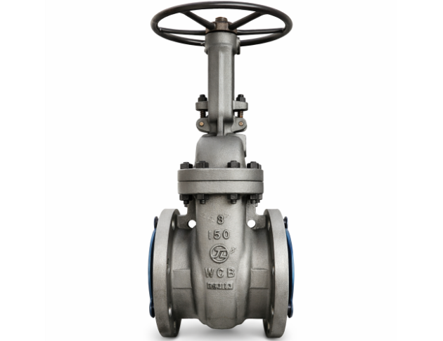 Gate Valve - Casting 1